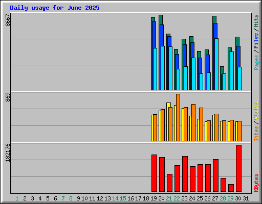 Daily usage for June 2025