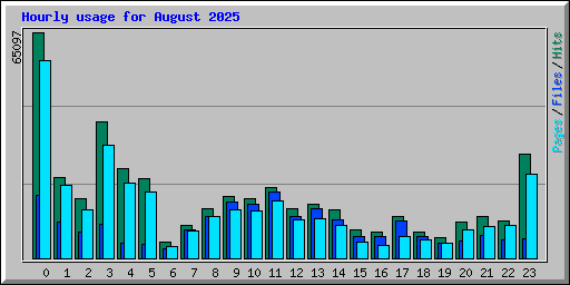 Hourly usage for August 2025