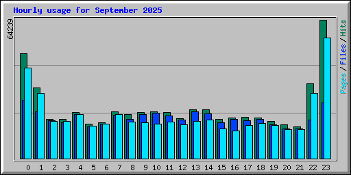 Hourly usage for September 2025